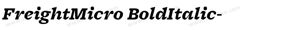 FreightMicro BoldItalic字体转换